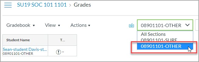 Other Section in Gradebook